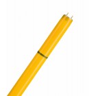 L 58 W/62