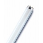L 36 W/827-1